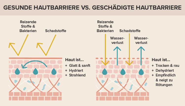 Gesunde hautbarriere vs. geschädigte hautbarriere