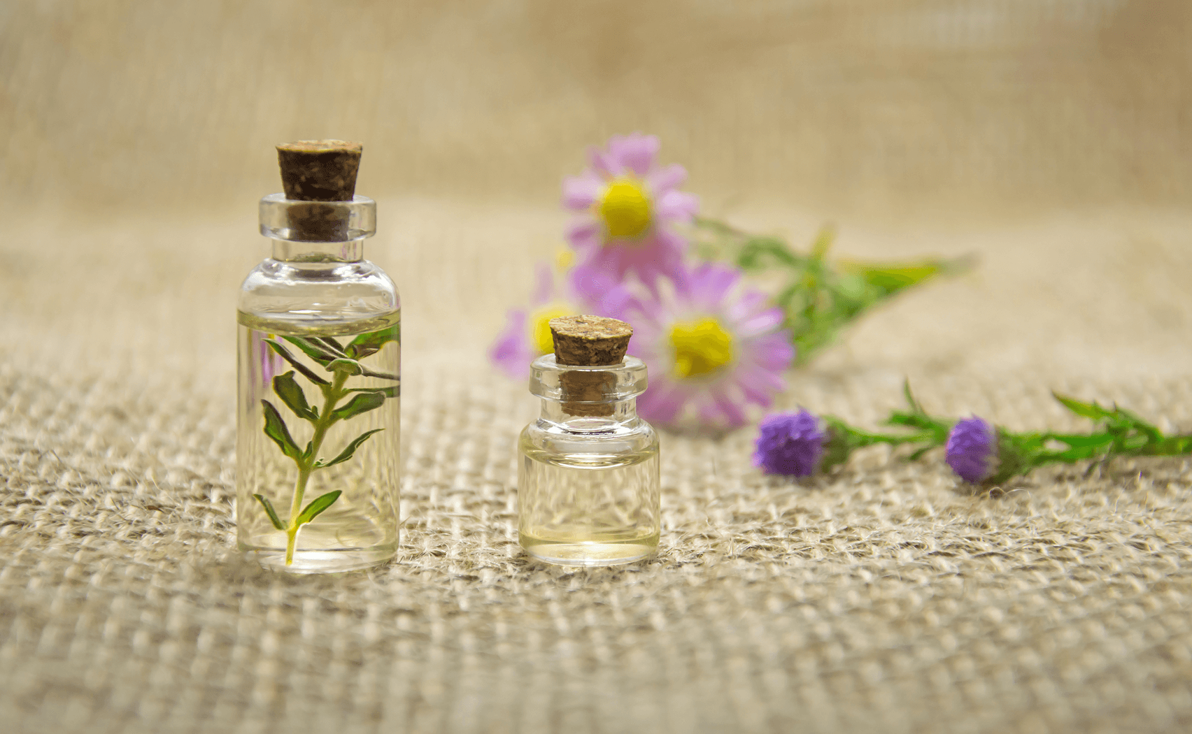 Produkte, die frei von Duftstoffen sind: essentiell bei empfindlicher Haut Produkte, die frei von Duftstoffen sind: essentiell bei empfindlicher Haut